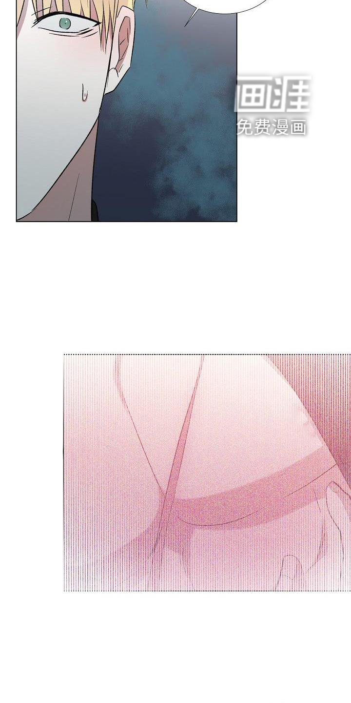 第14章：解释