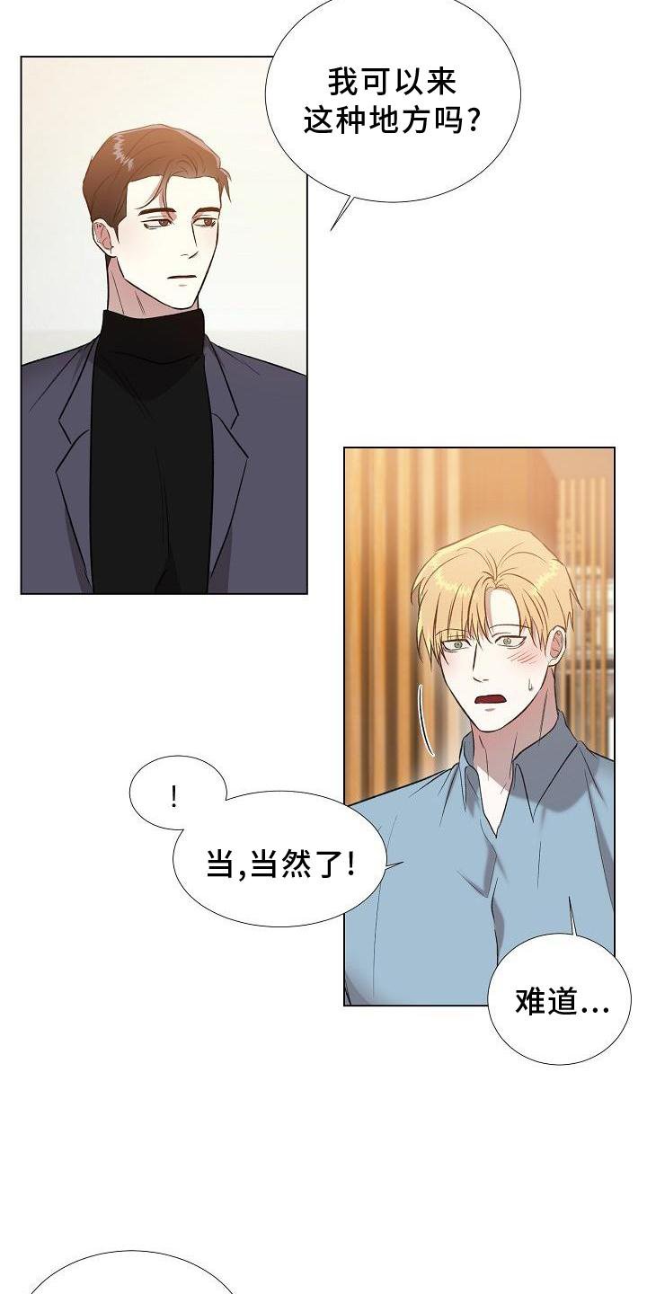 第18章：替代品