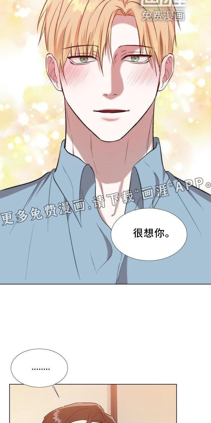 第18章：替代品