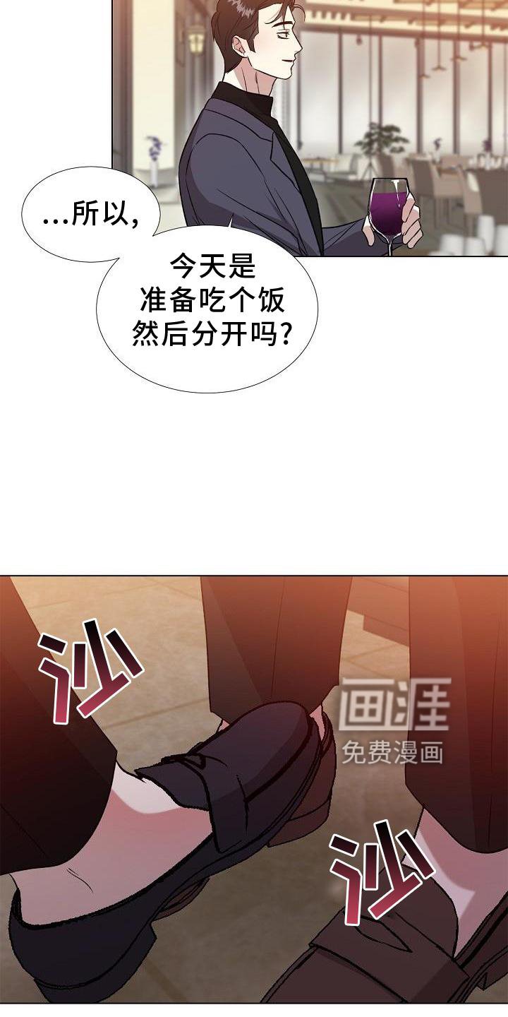 第18章：替代品
