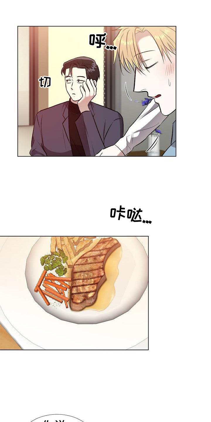 第18章：替代品