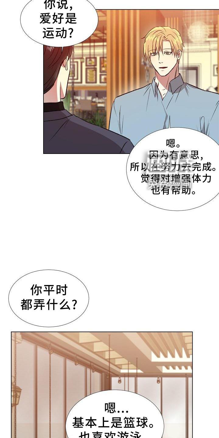 第18章：替代品