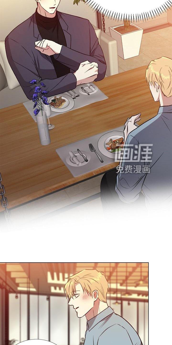 第18章：替代品