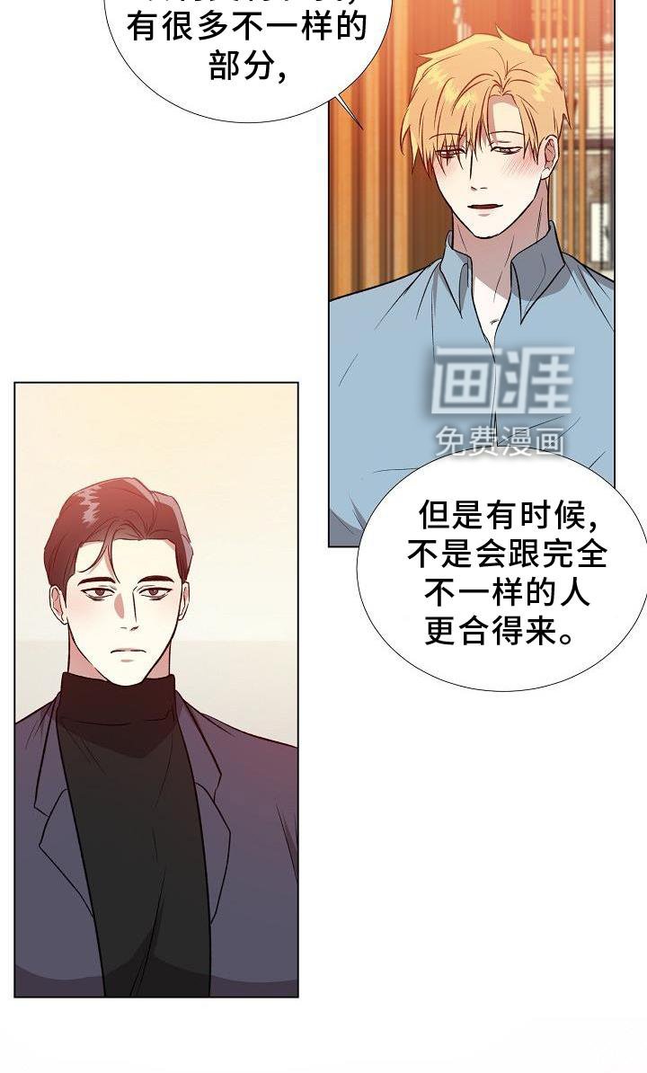 第18章：替代品