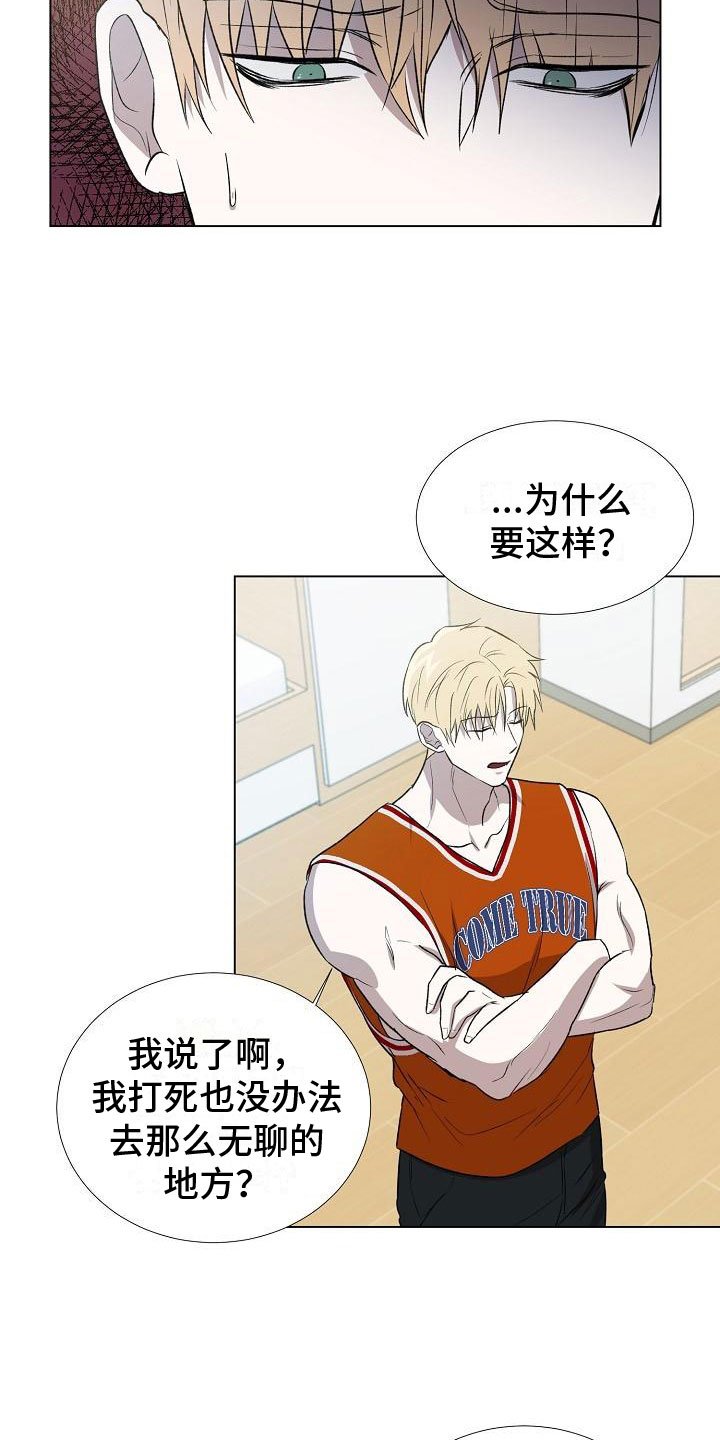 第2章：咨询替身
