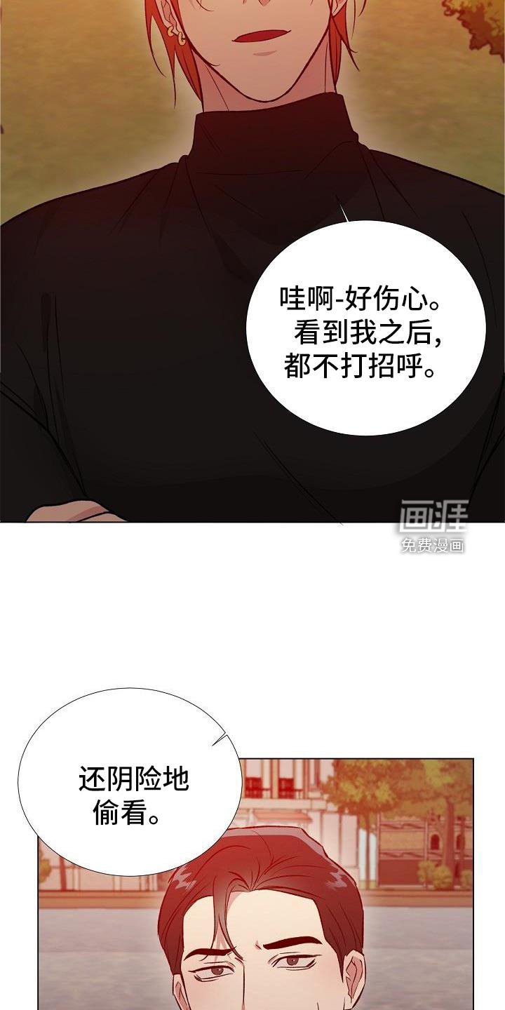 第28章：配合