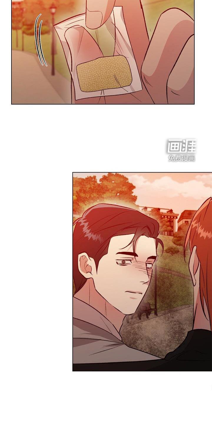 第28章：配合