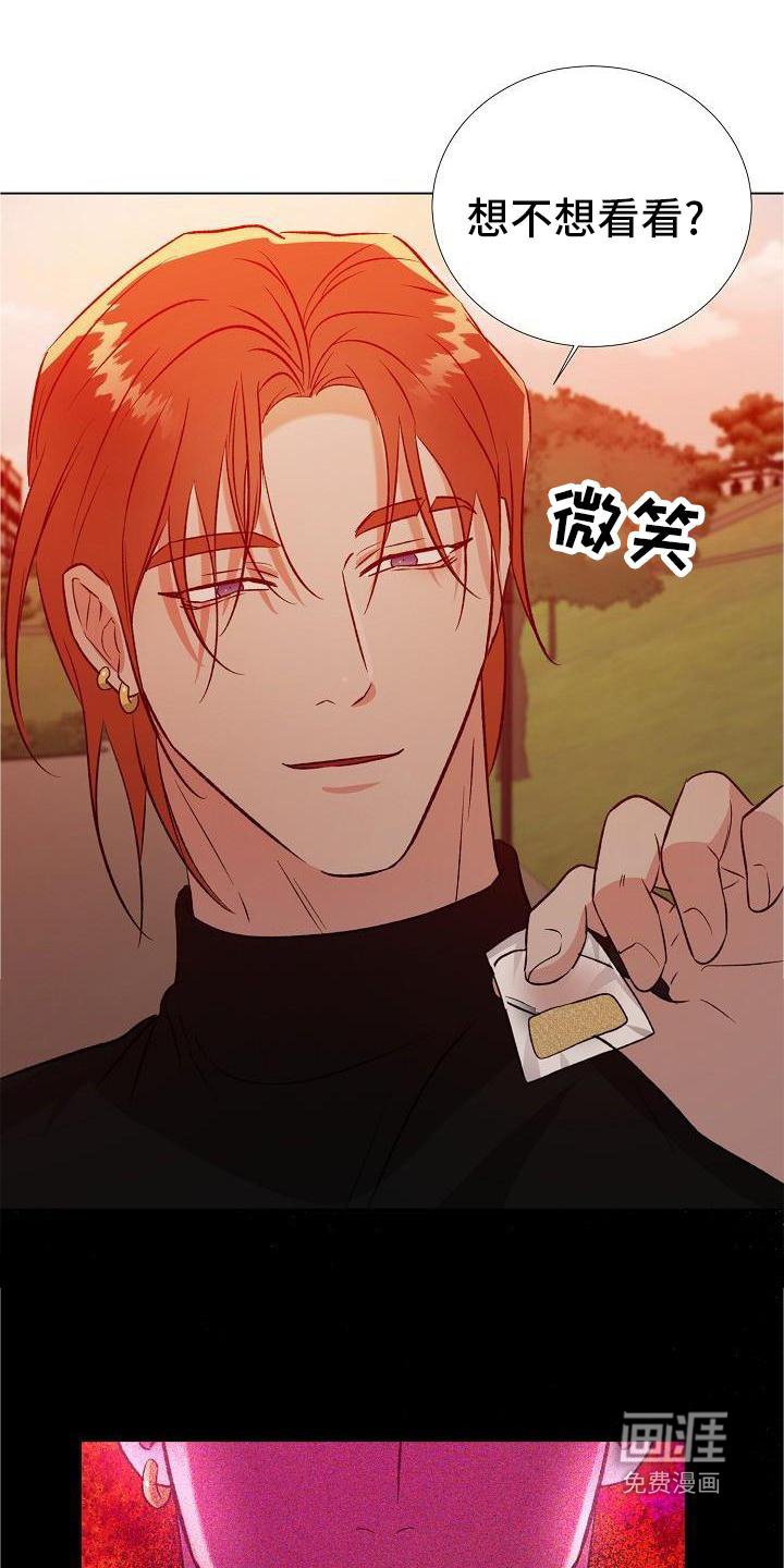 第28章：配合
