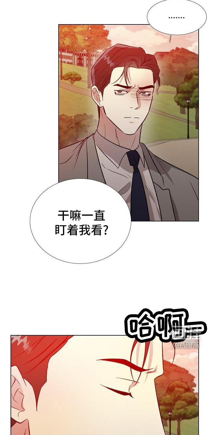 第28章：配合