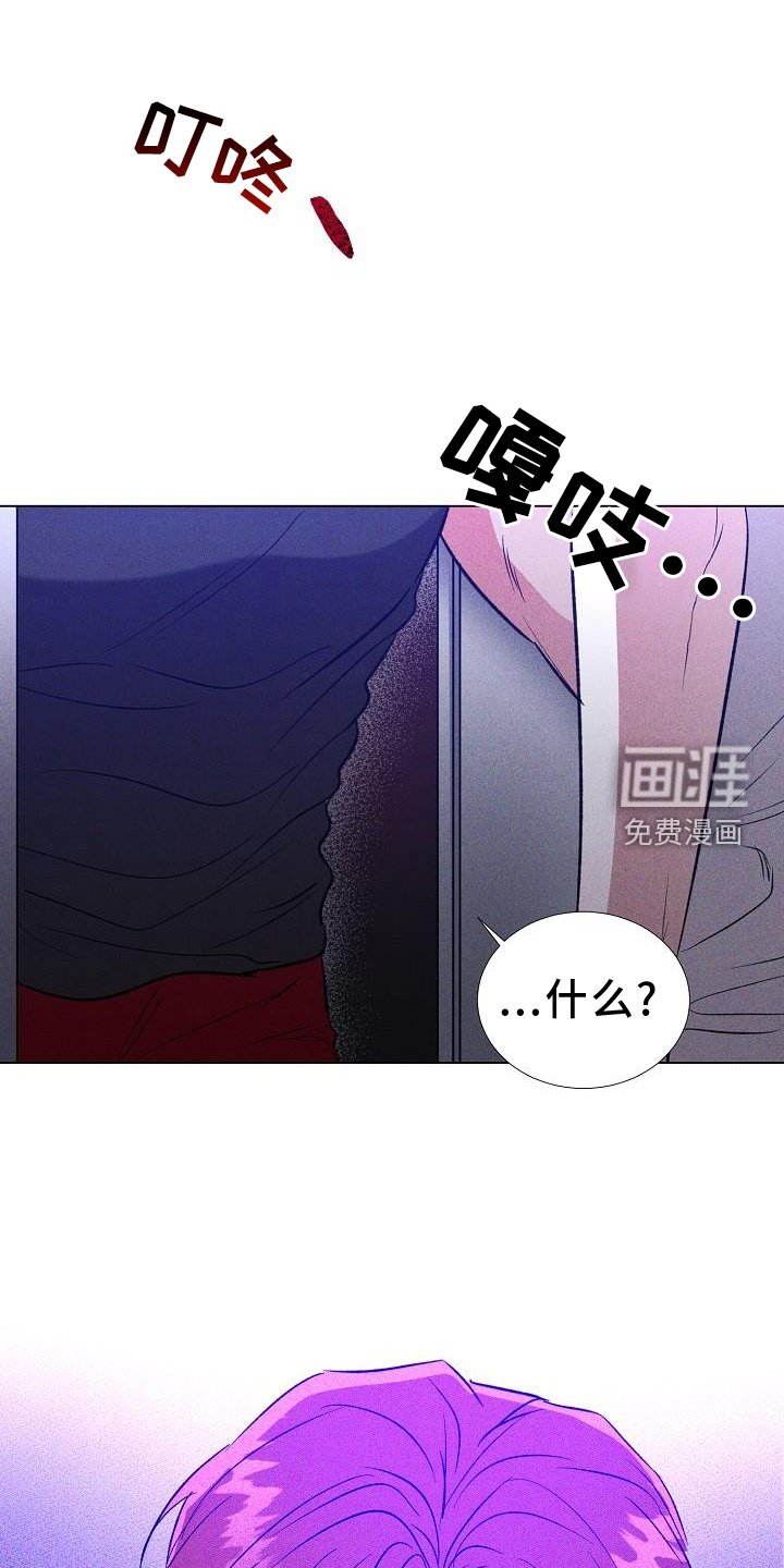 第37章：我喜欢你