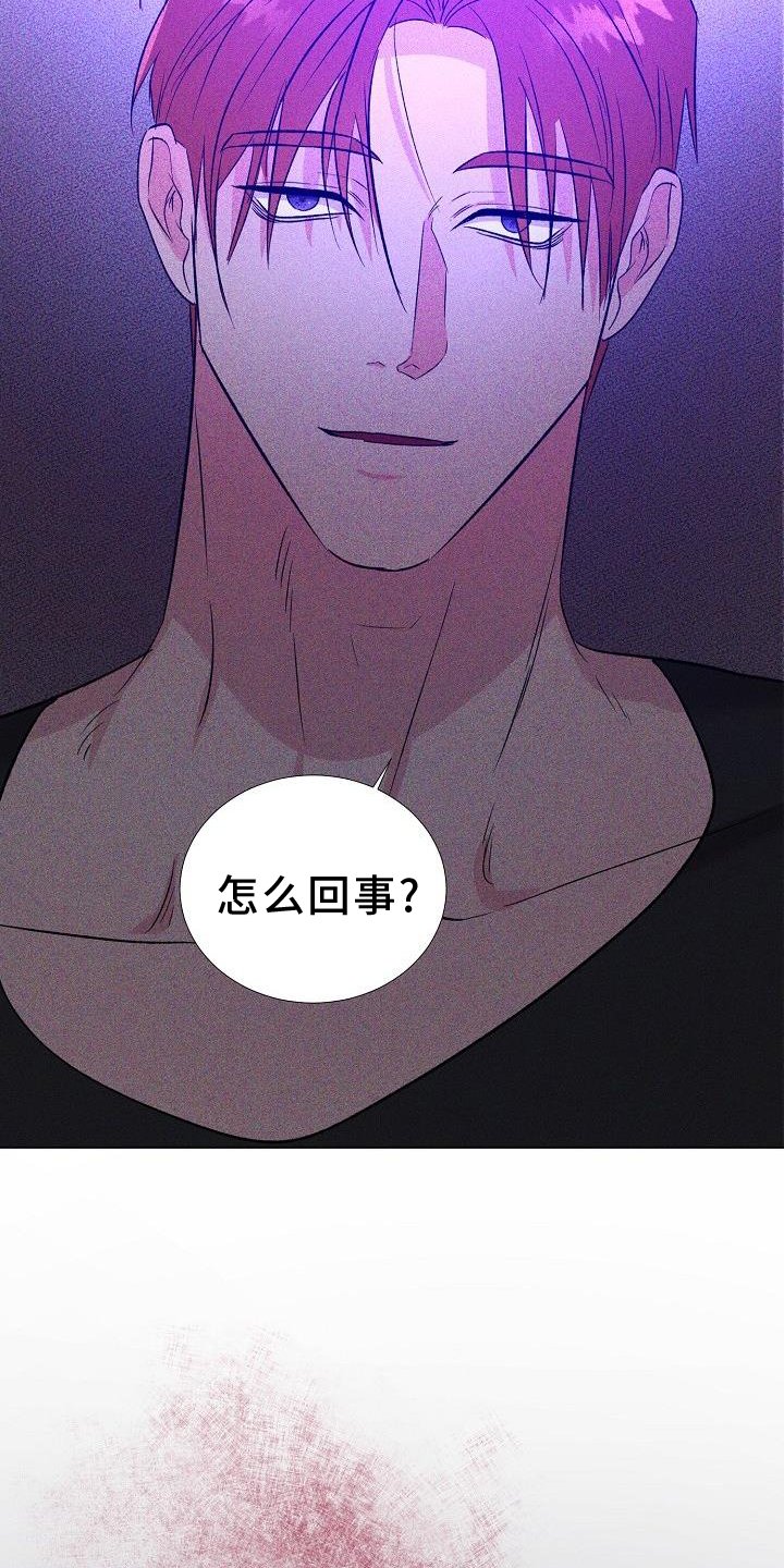 第37章：我喜欢你