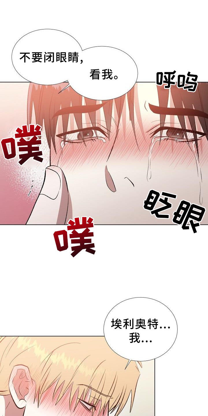 第37章：我喜欢你