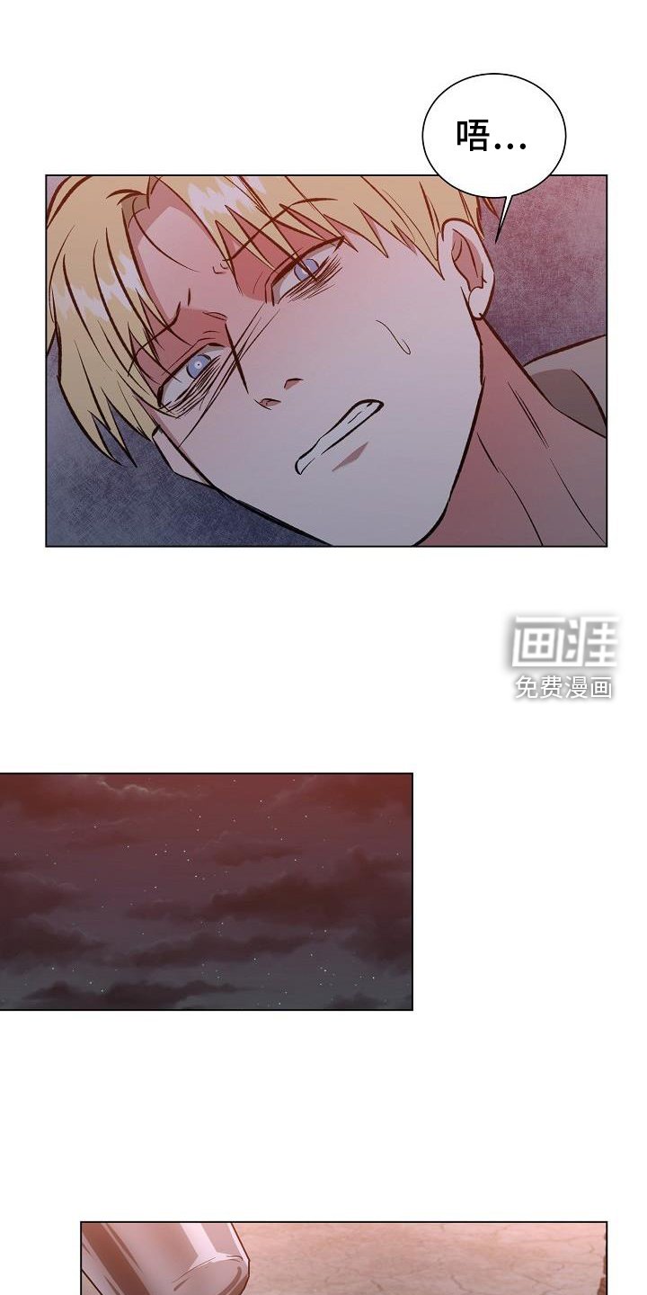 第49章：摧毁