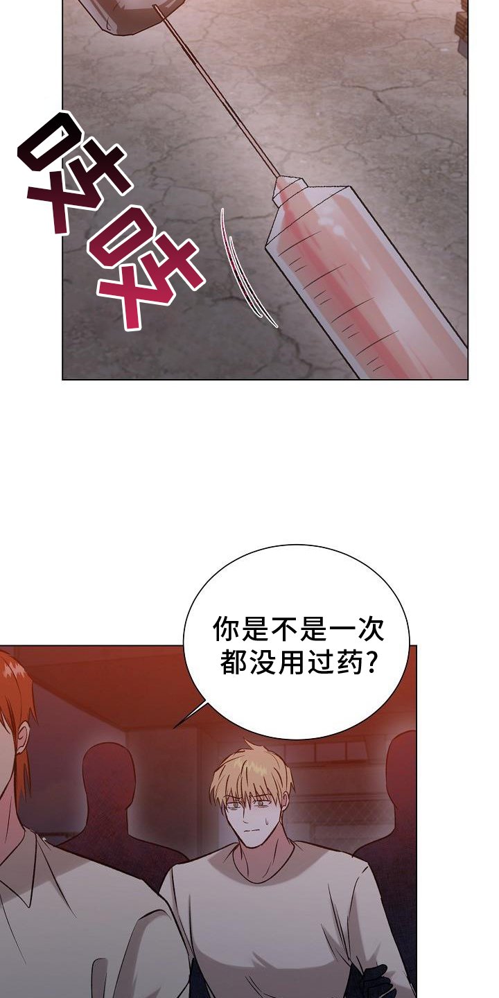 第49章：摧毁