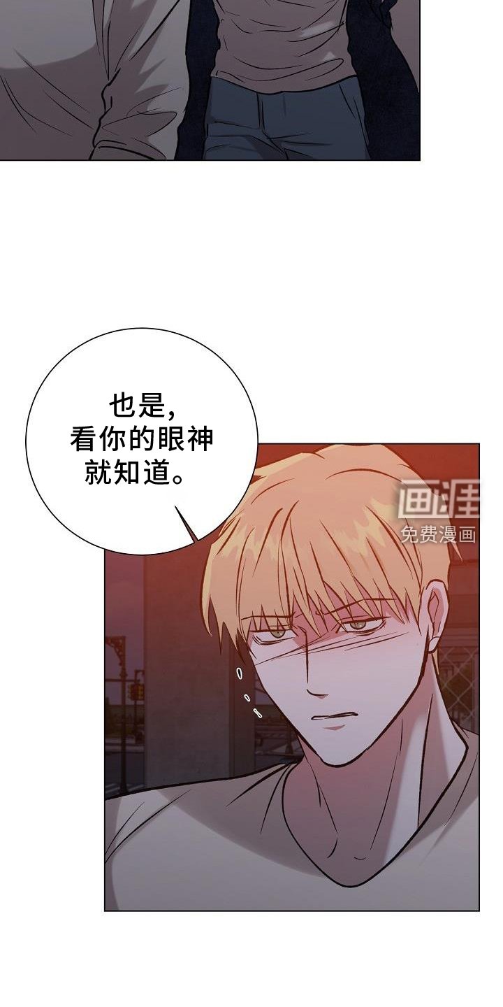 第49章：摧毁