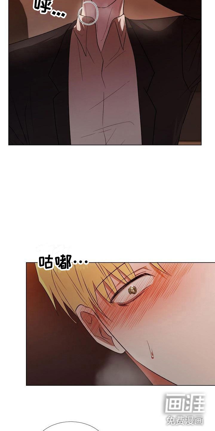 第5章：单独聊