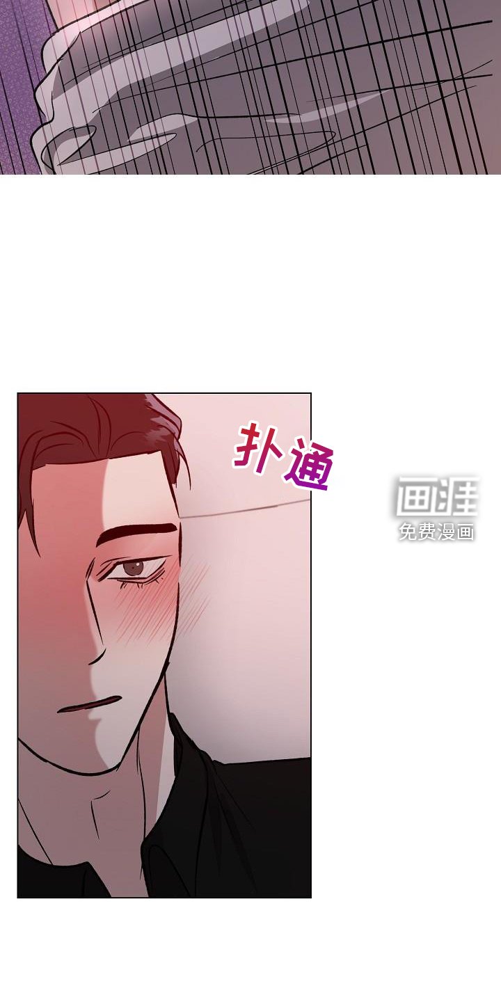 第56章：直到永远【完结】