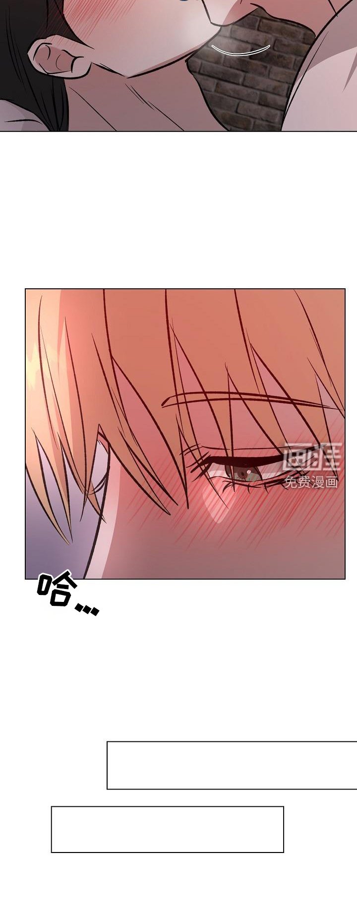 第56章：直到永远【完结】