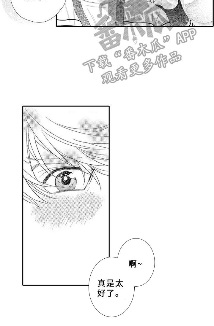 第13章：独特回忆