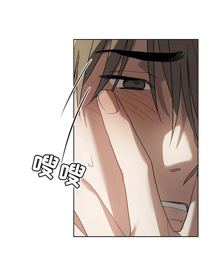 第14章：自愿