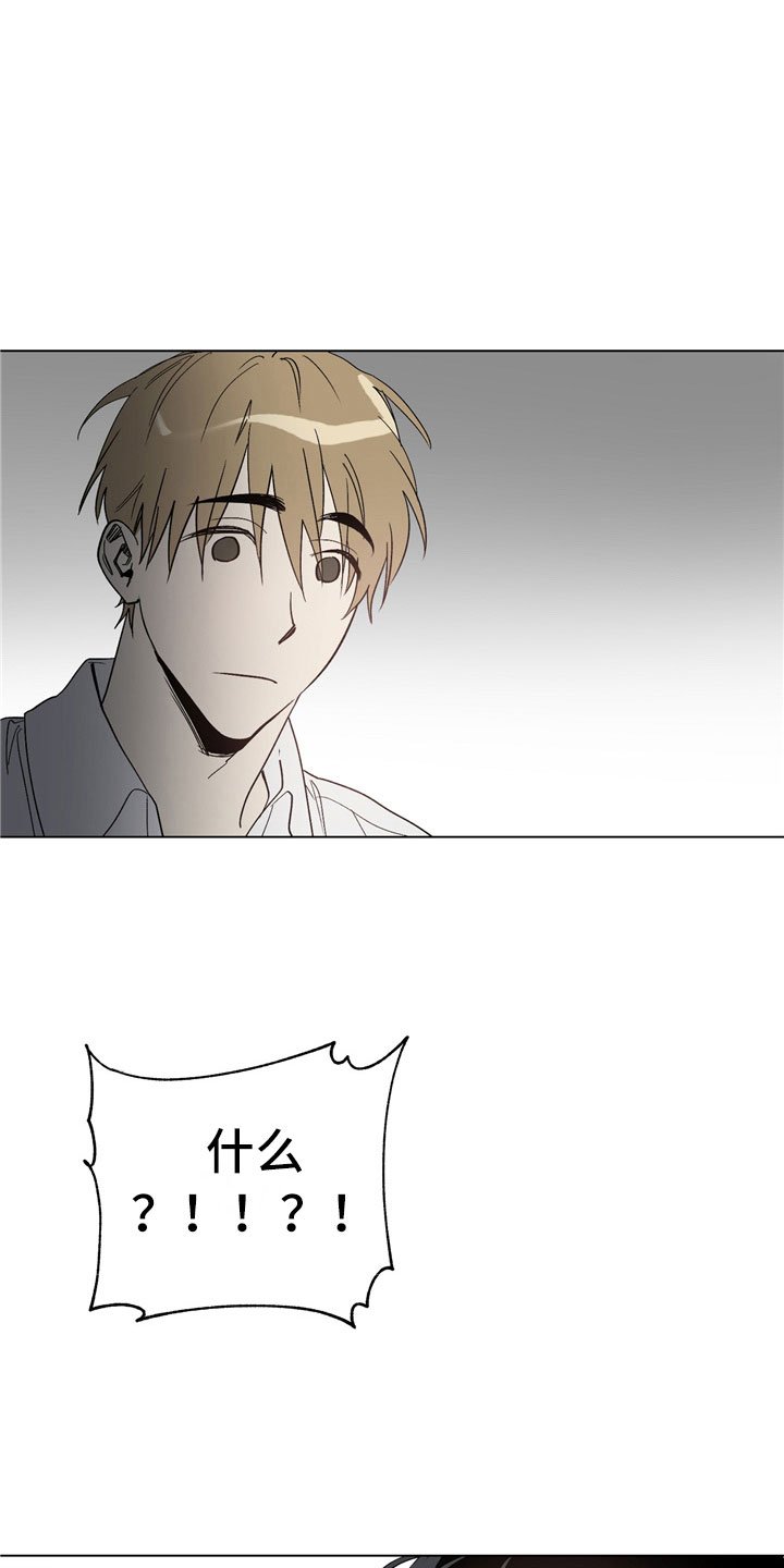 第2章：有点奇怪