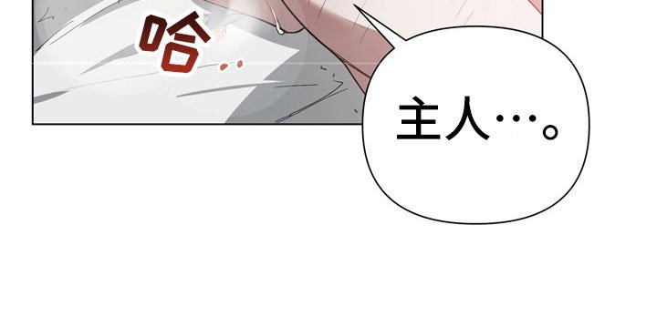 第3章：惩罚