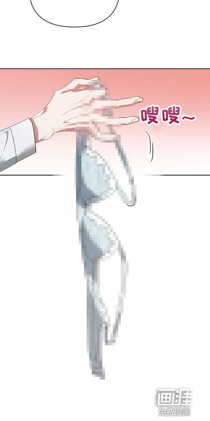 第52章：翻手机