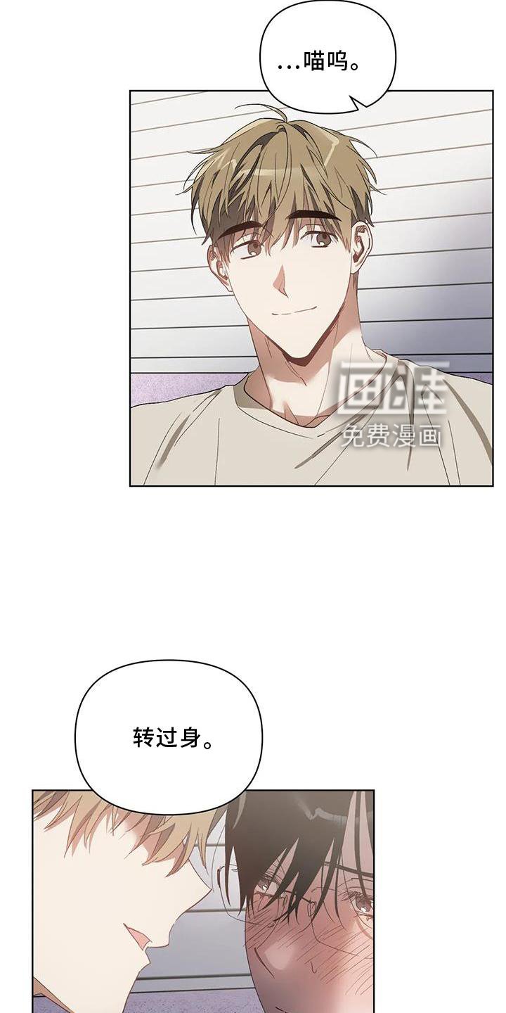 第77章：奖励