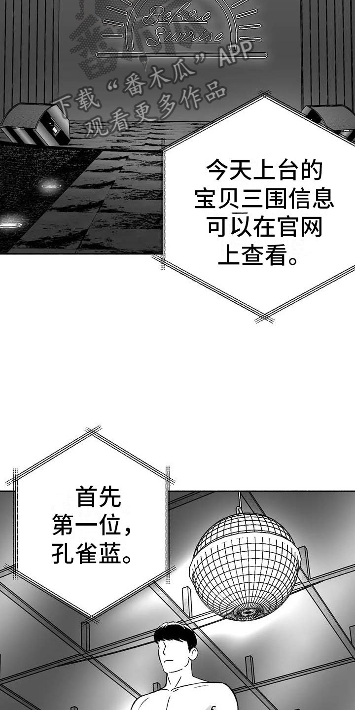 第14章：第二场节目