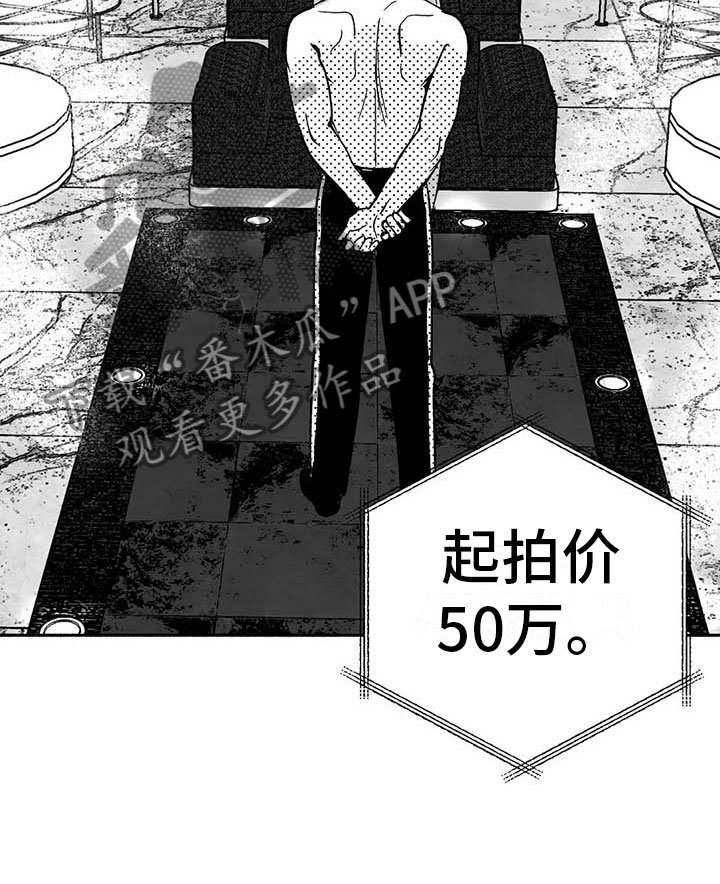 第15章：王牌竞拍