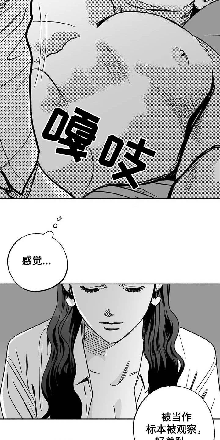 第35章：标本