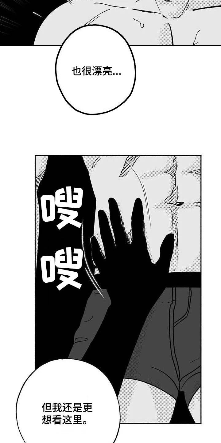 第35章：标本