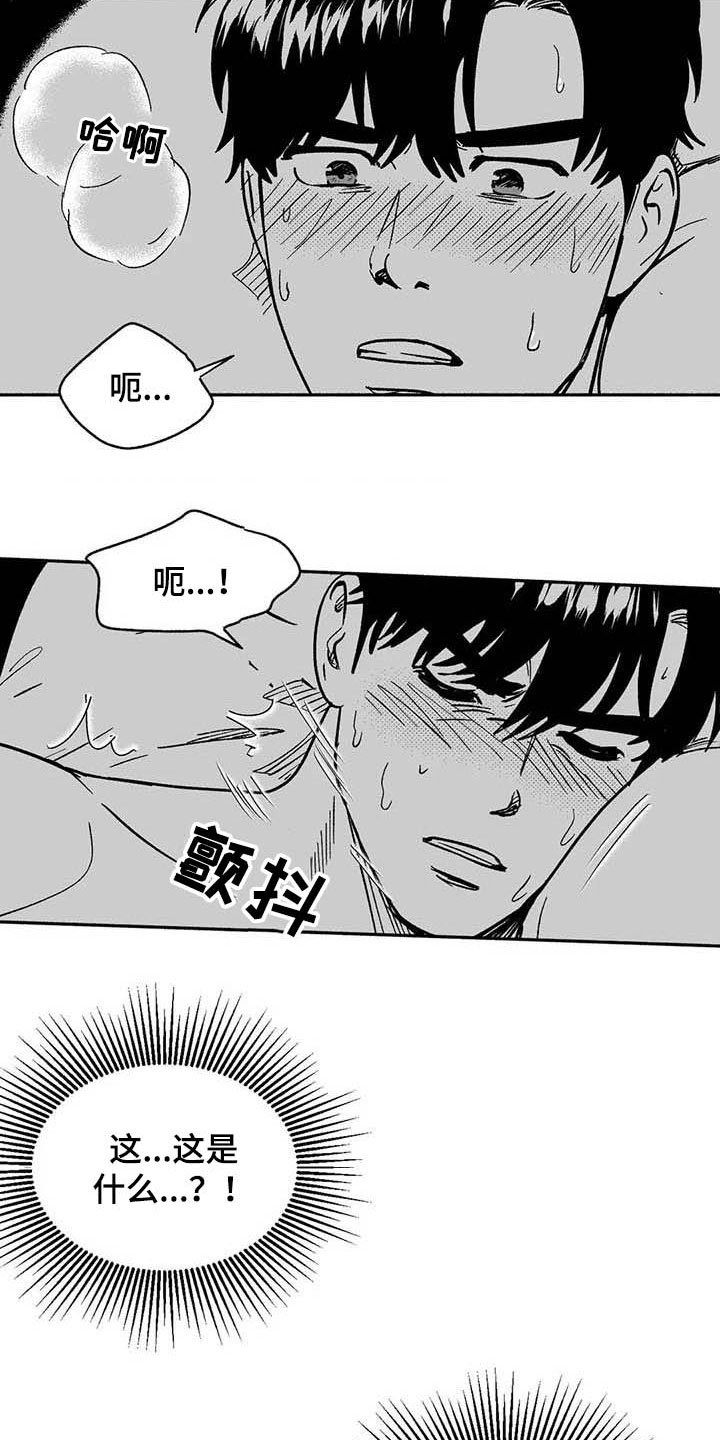 第35章：标本