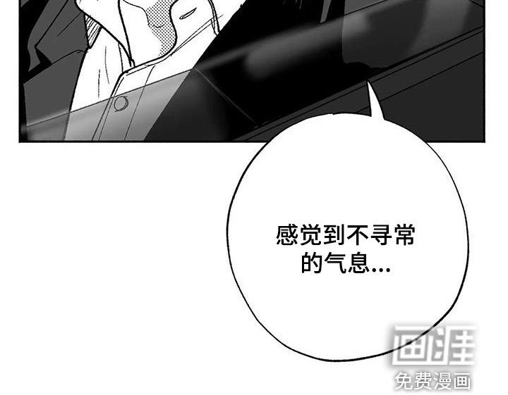 第62章：回归