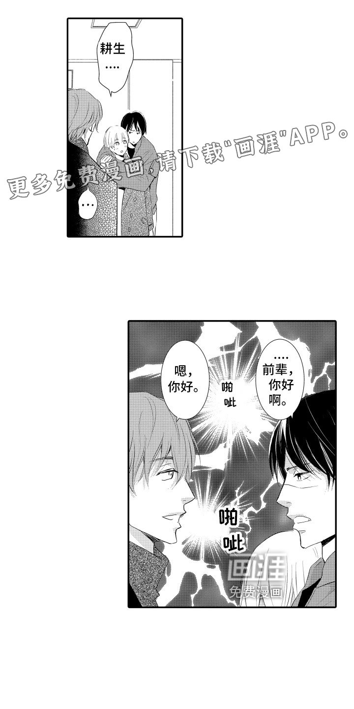 第21章：理解