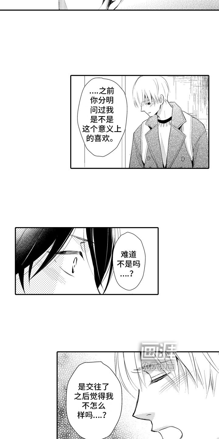 第21章：理解