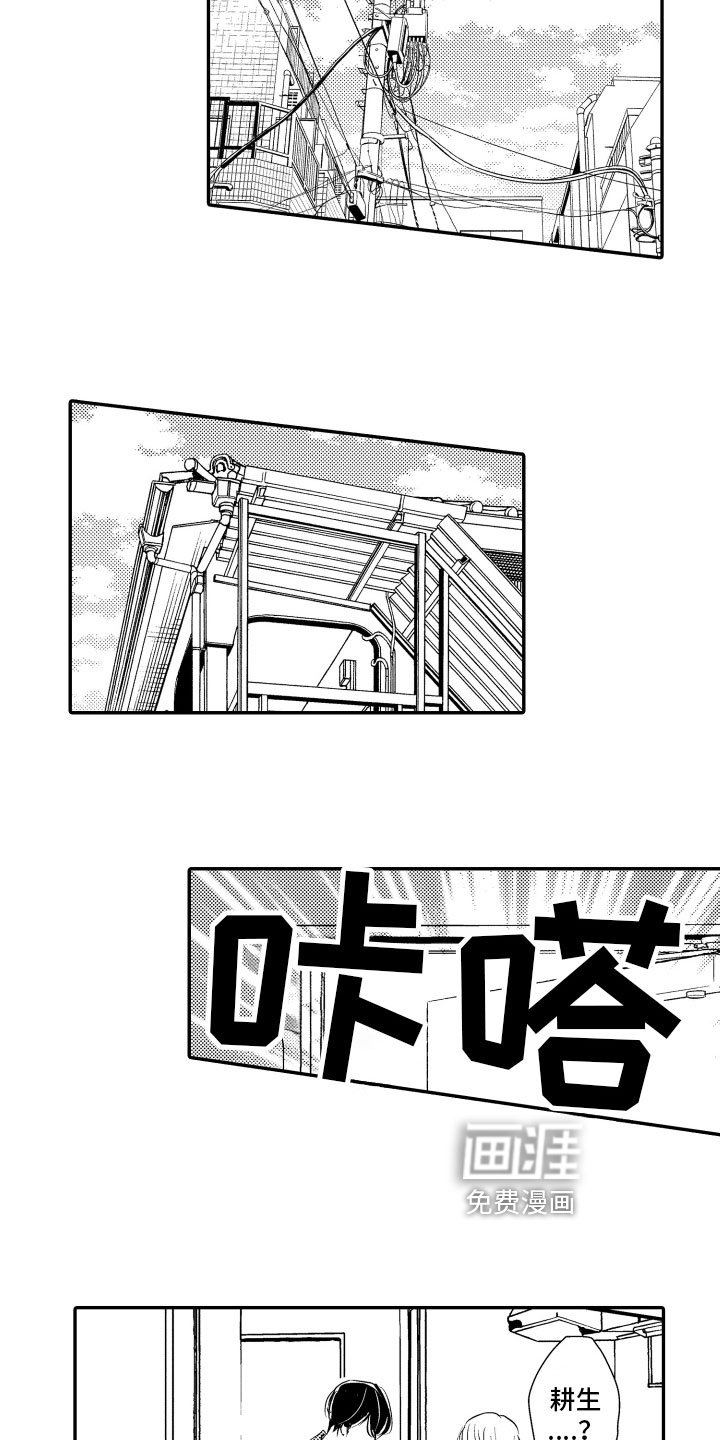 第21章：理解