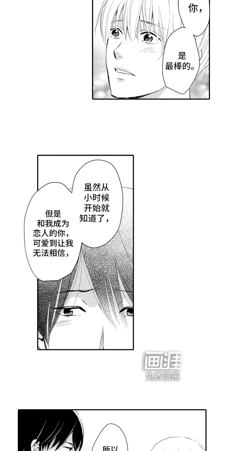 第21章：理解