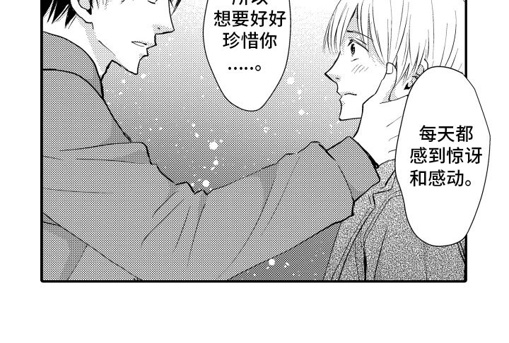 第21章：理解