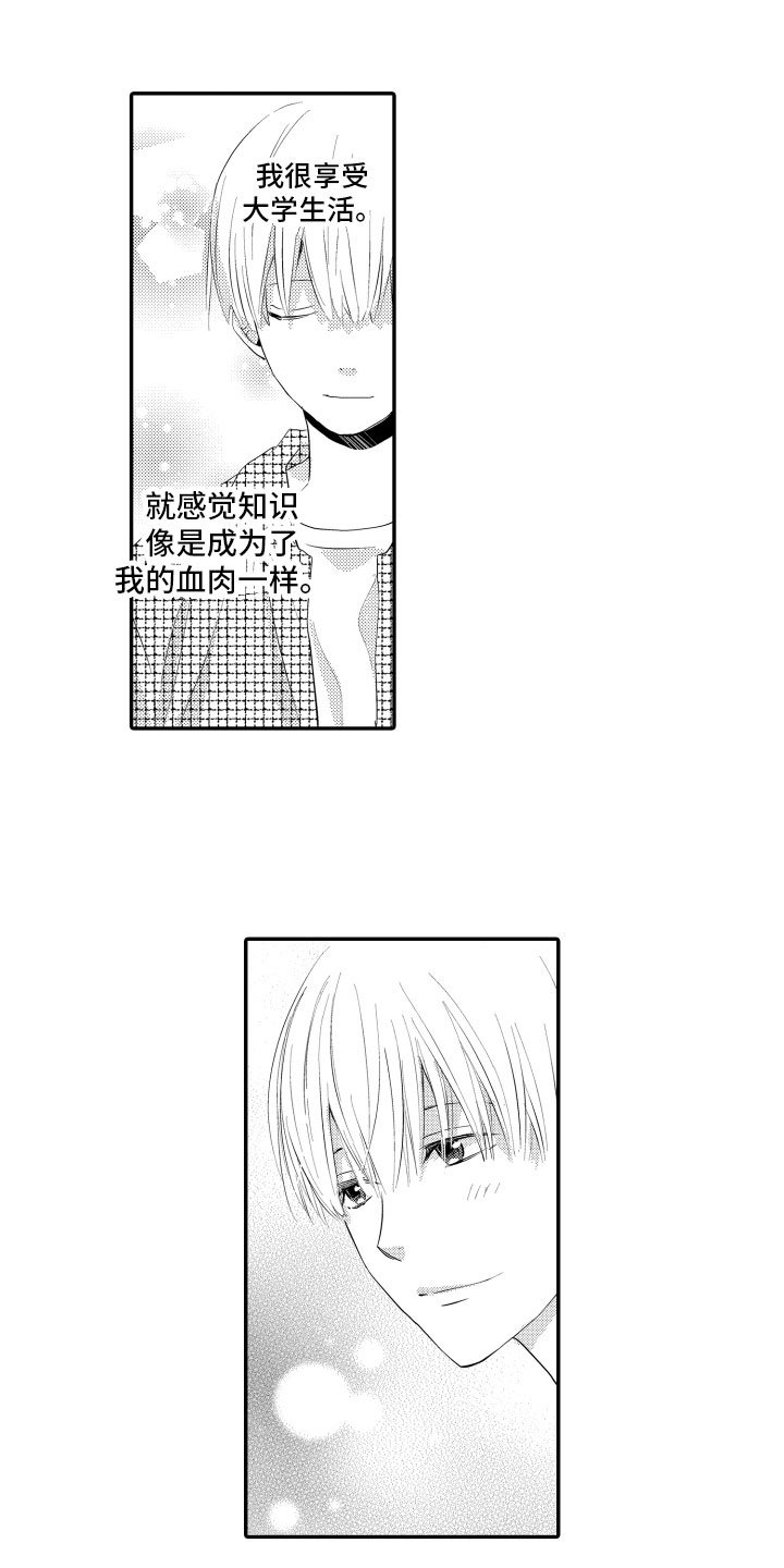 第3章：烟花庆典