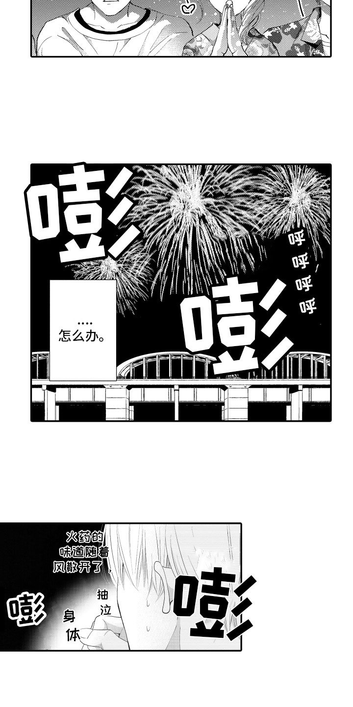 第3章：烟花庆典
