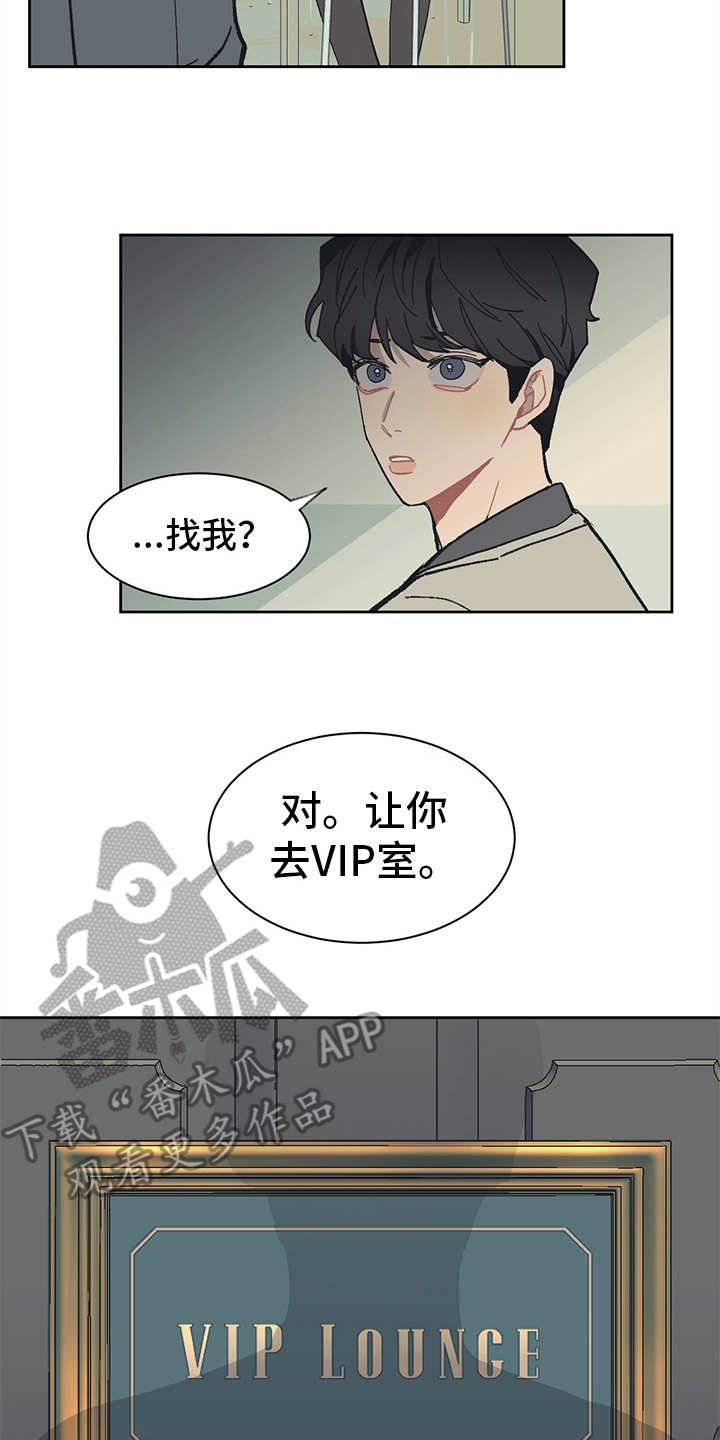 第13章：VIP
