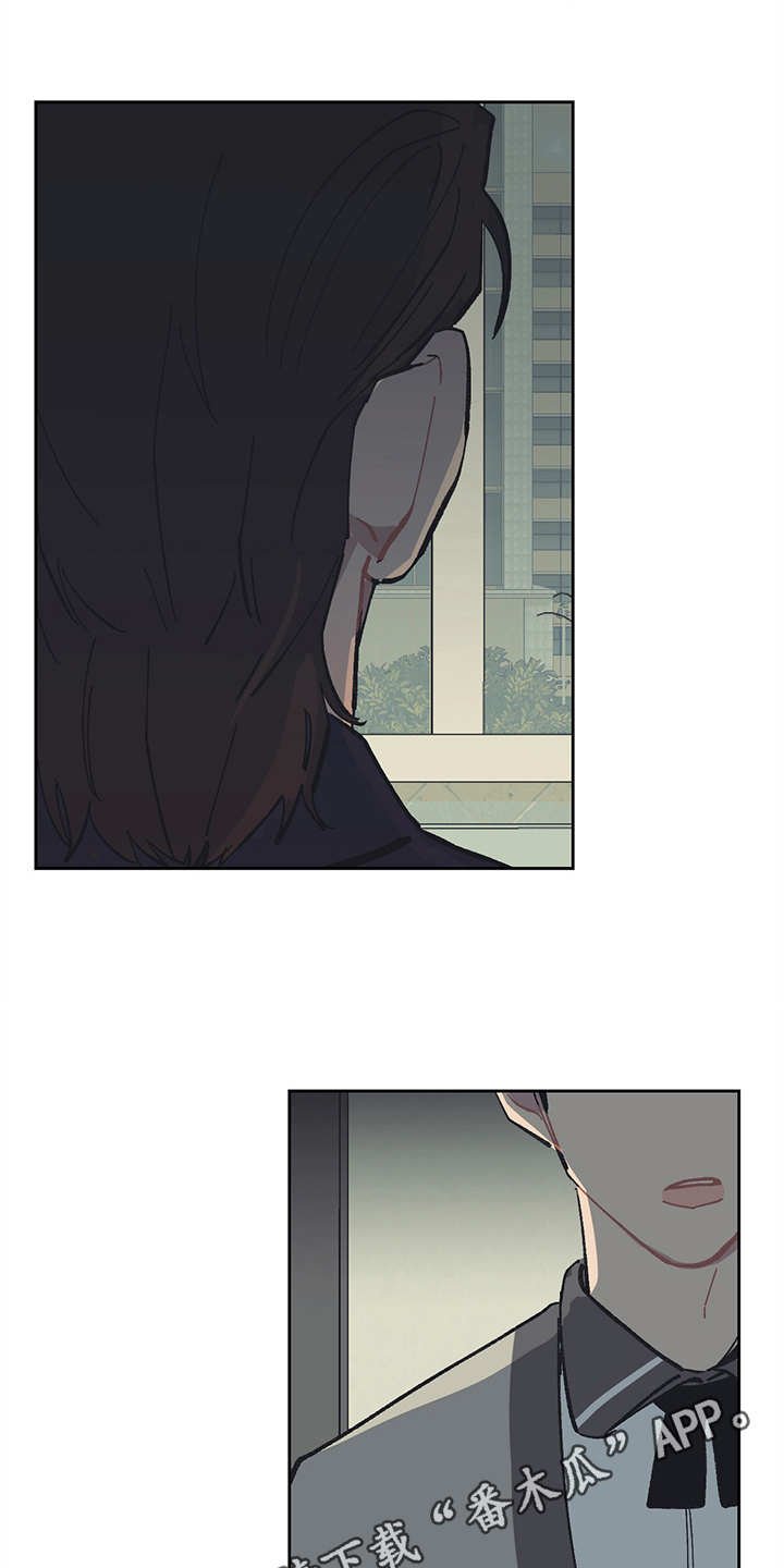 第13章：VIP