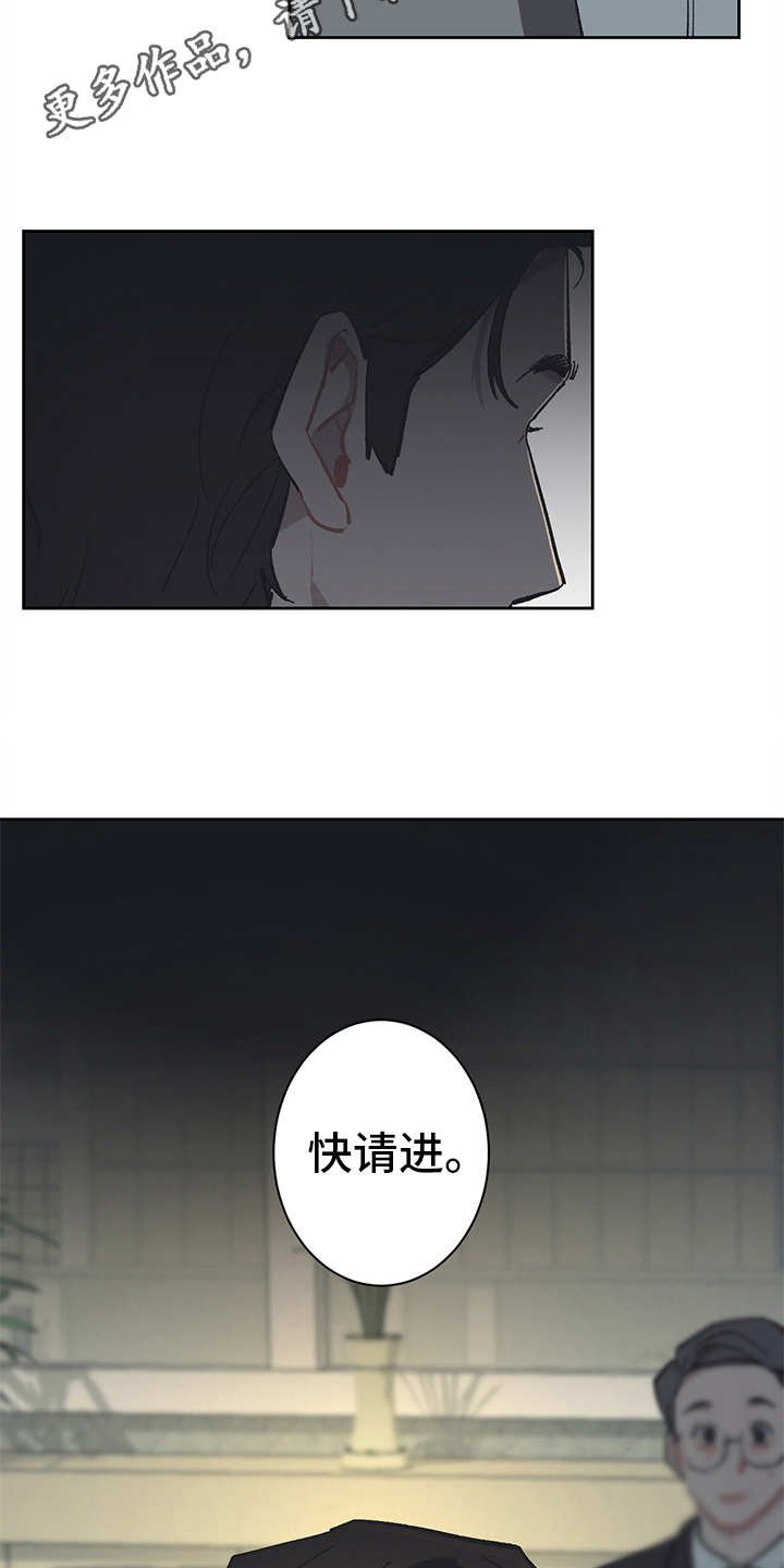 第13章：VIP