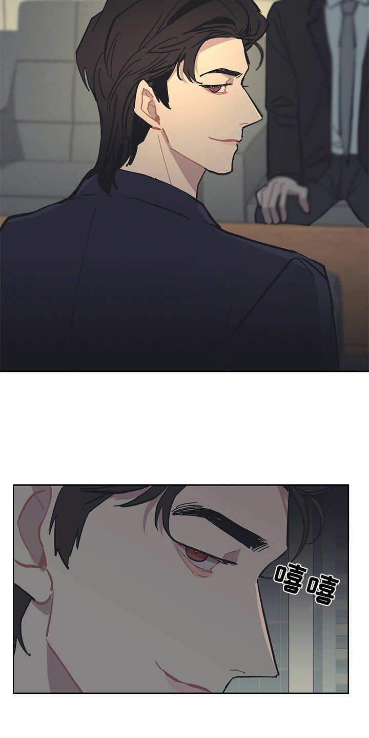 第13章：VIP