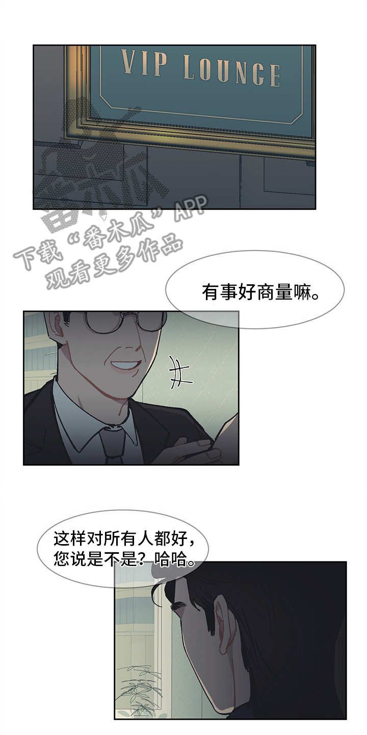 第13章：VIP