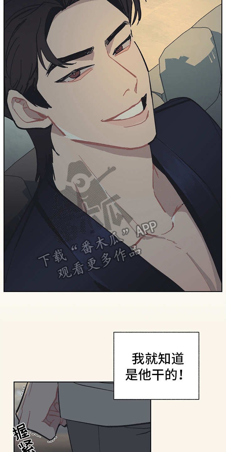 第13章：VIP