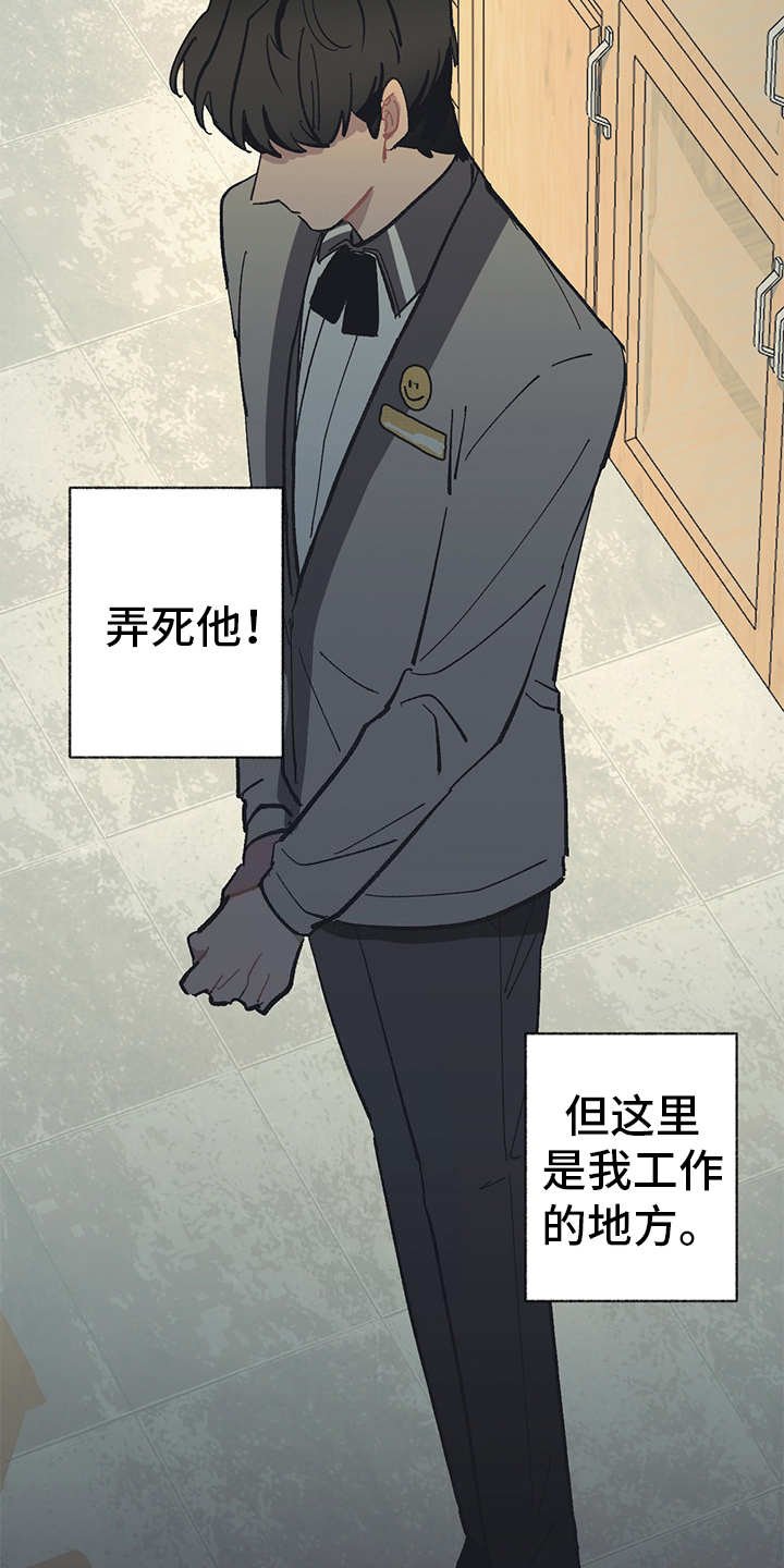 第13章：VIP