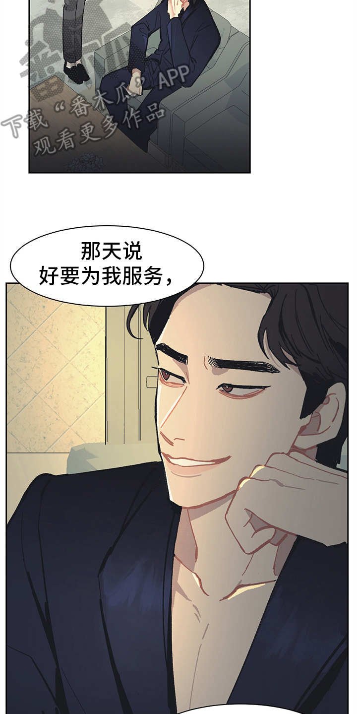 第13章：VIP