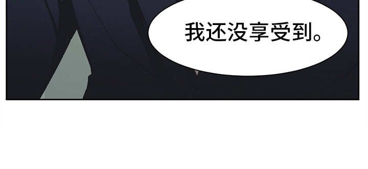 第13章：VIP